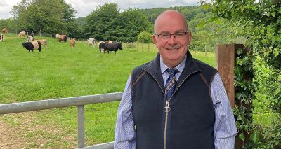 Sheep lameness assessments highlight Five Point Plan